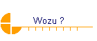 Wozu ?